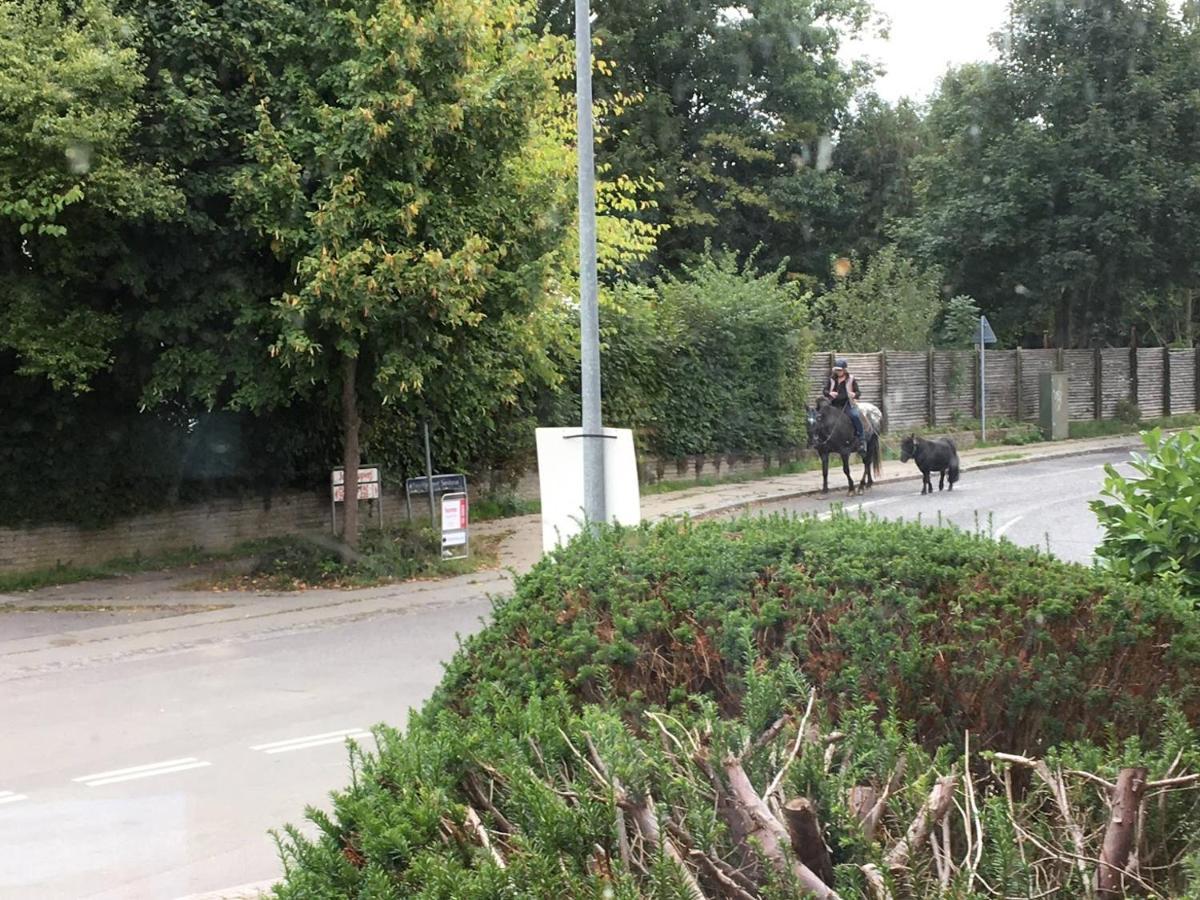 Jonstrupvejens Apartments Lejl C Ballerup Zewnętrze zdjęcie