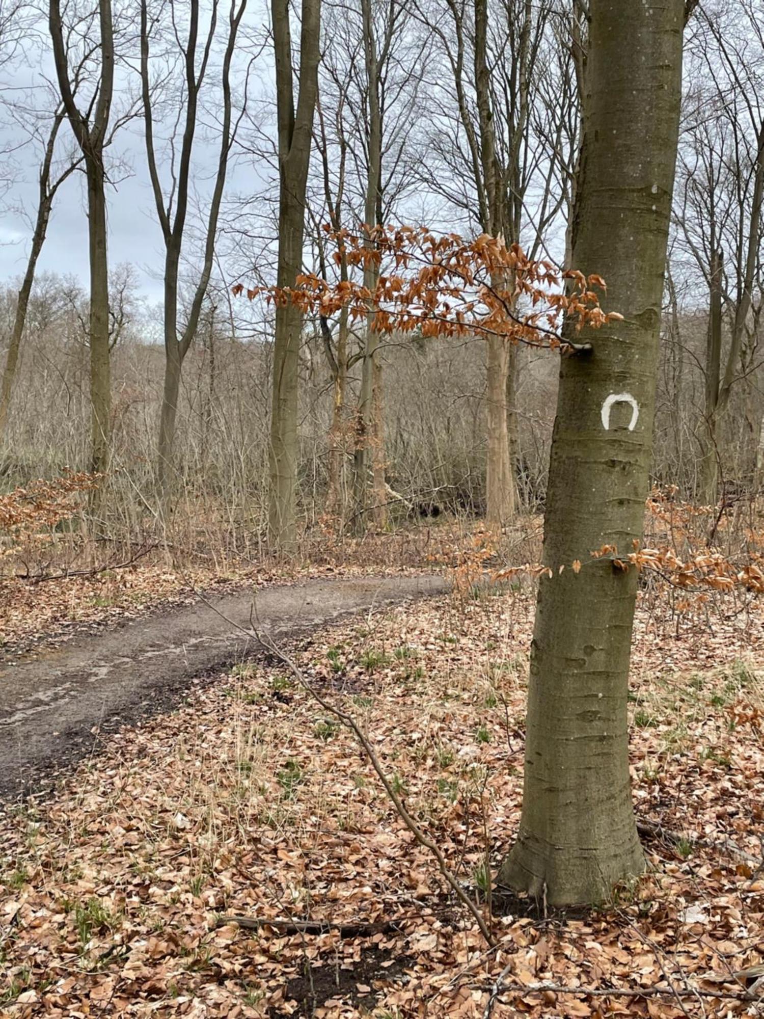 Jonstrupvejens Apartments Lejl C Ballerup Zewnętrze zdjęcie